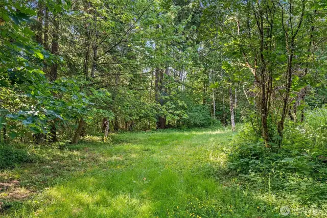 View of 5 acres.