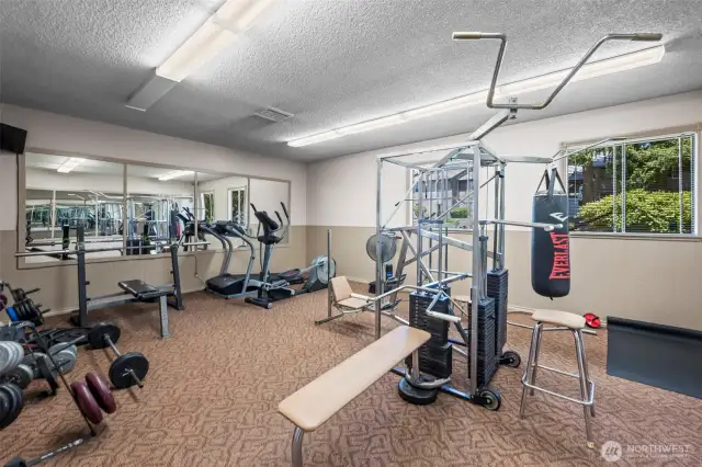 More weights, treadmills, etc. in the gym