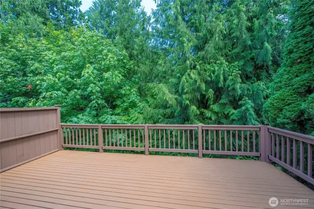 Lush green trees create a serene natural backdrop