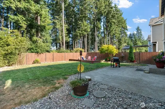 Backyard backs up to greenbelt