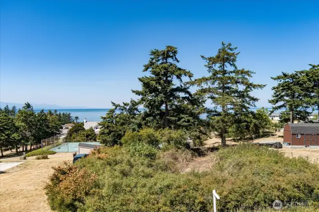 Lot boundaries are the brush and trees. Buyer to verify property lines.
