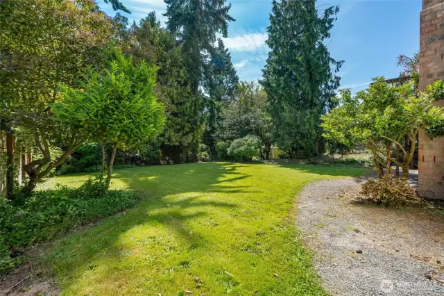 Backyard