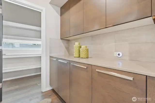 Walk-in pantry off kitchen.