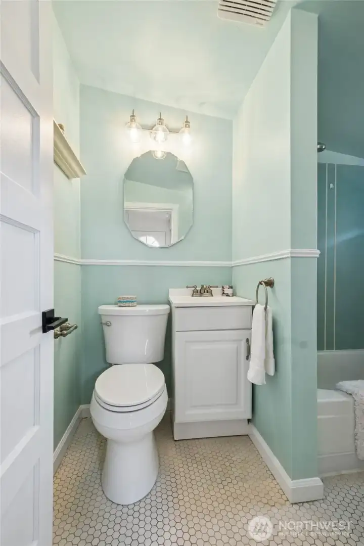 Lower level bathroom.