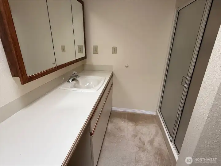Primary bath vanity