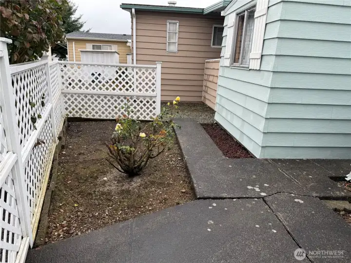 Back yard