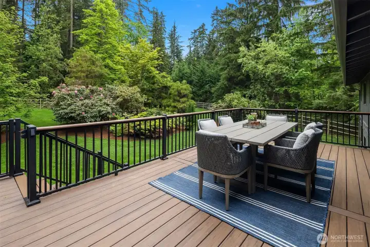 BAck yard deck