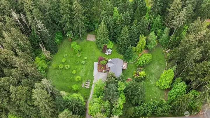 Lush forestry surrounds the home