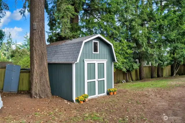 Another view of the shed