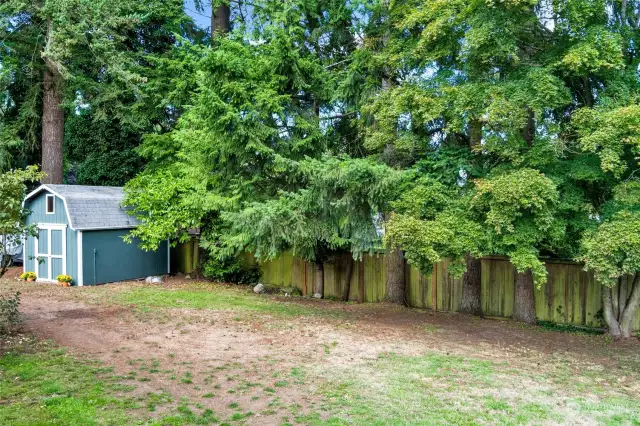 Shed area in backyard. Mature trees for privacy