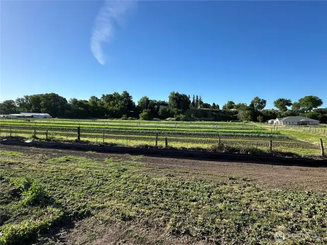 southern view from lot 1