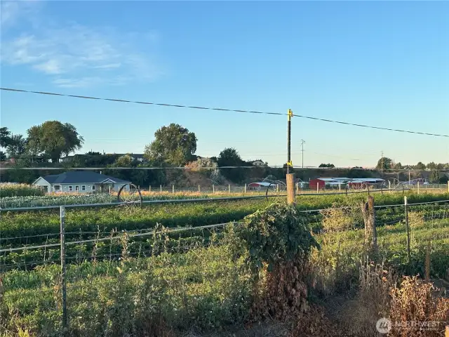 Southern Border