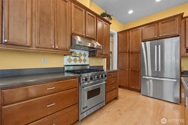 Viking range & hood