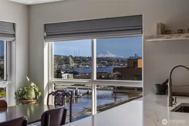 More amazing views of Lake Union & Rainier