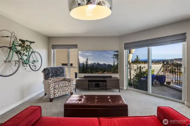 Watch TV or look at the North Cascade Mountains
