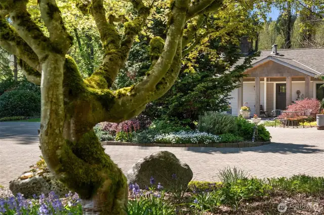 Here is the approach to the entry to the home ~ setting the tone to great you, family, friends and visitors to this wonderful property.
