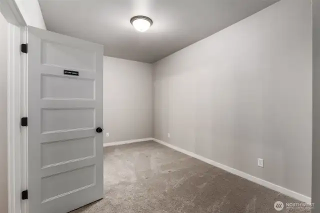Lower level Guest Suite/ Bedroom #5