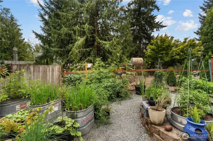 Designated Garden Space. So many good things growing here!