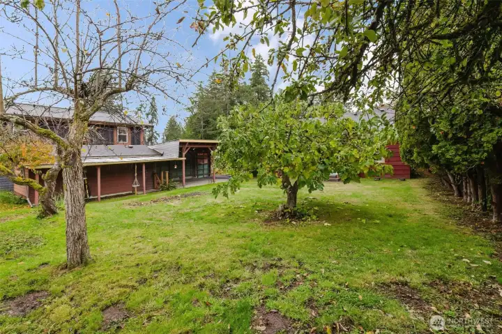 Plenty of fruit trees!