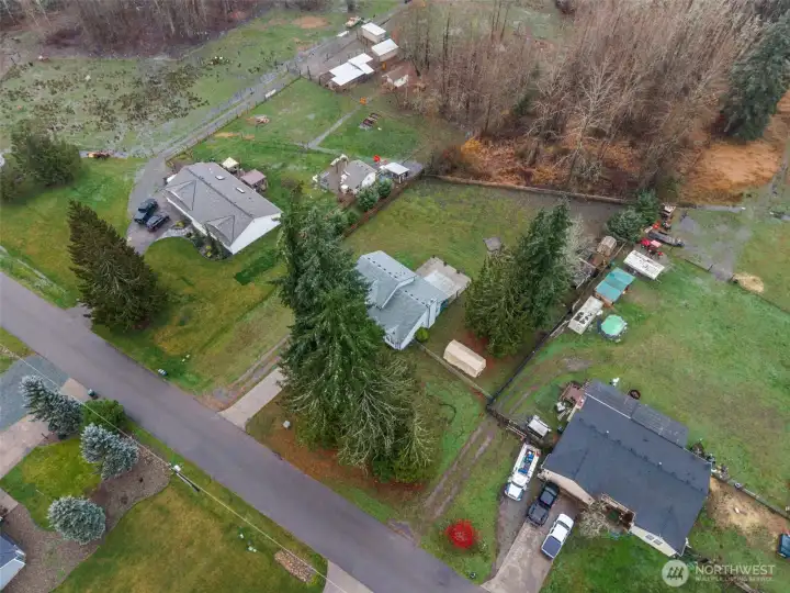 Yes those are Highland cows at the neighbors!