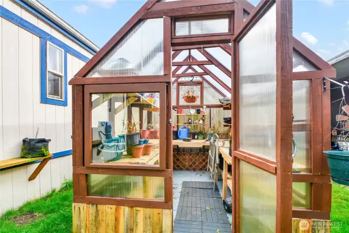 Greenhouse, Backyard