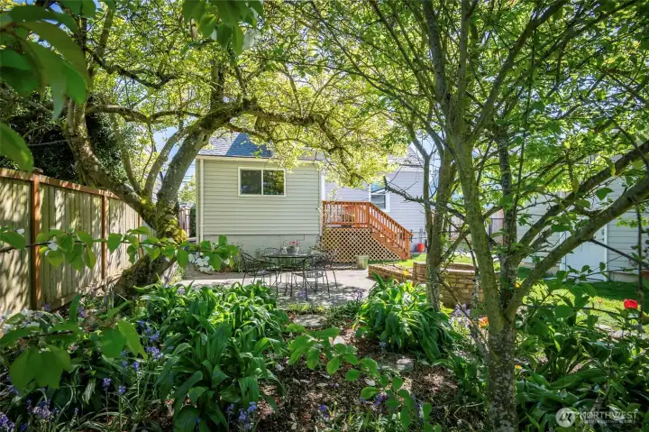 Beautiful mature, low maintenance landscaping.