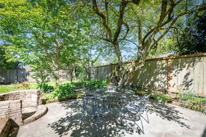 Looking toward the floral garden, patio, & firepit. This patio has a beautiful Magnolia Tree that acts as a canopy for shade from the SW Sun.   lawn with patio & garden spaces make this outdoor oasis easy to maintain & relax in.     Mature landscaping surrounds the home with established trees, shrubs, and seasonal blooms. Relax on the back patio under a green canopy all summer next to the outdoor stone fire pit. A dry, semi-finished basement offers flexible rec room / home gym space with fresh flooring.    Fully fenced property with 6' privacy fencing in back and black chain-link fencing with a remote-controlled rolling gate at the front. Deep driveway offers multiple off-street parking spots and leads to newer 14’x24’ detached garage with an extra tall ceiling offering generous storage options and accommodation for tall vehicles.    Roof and side sewer u