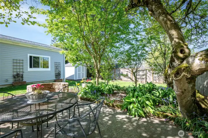 Looking toward the floral garden, patio, firepit & back lawn.  This patio has a beautiful Magnolia Tree that acts as a canopy for shade from the SW Sun.   lawn with patio & garden spaces make this outdoor oasis easy to maintain & relax in.     Mature landscaping surrounds the home with established trees, shrubs, and seasonal blooms. Relax on the back patio under a green canopy all summer next to the outdoor stone fire pit. A dry, semi-finished basement offers flexible rec room / home gym space with fresh flooring.    Fully fenced property with 6' privacy fencing in back and black chain-link fencing with a remote-controlled rolling gate at the front. Deep driveway offers multiple off-street parking spots and leads to newer 14’x24’ detached garage with an extra tall ceiling offering generous storage options and accommodation for tall vehicles.    Roof and side sewer u