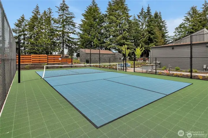 Tennis/Pickleball