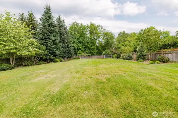 Now that's a backyard!