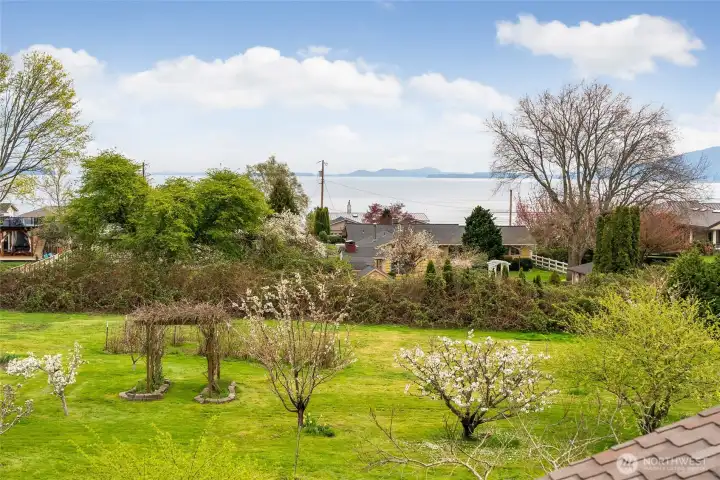 Fruit orchard