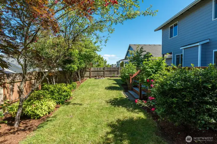 Mature Landscaping Mature Landscaping