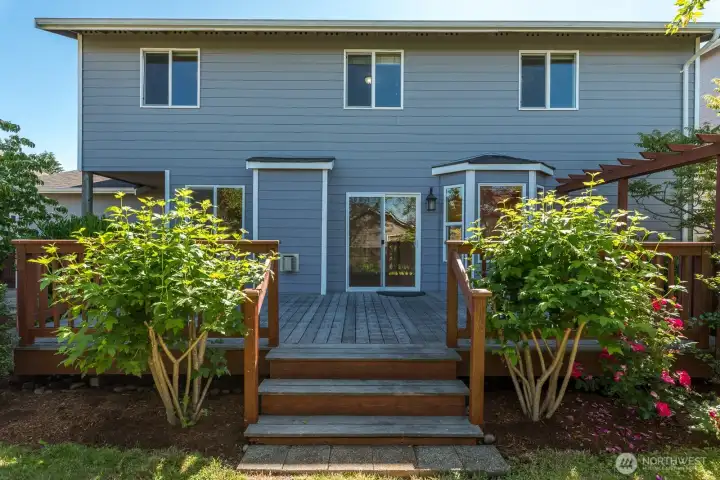A Beautiful Yard Indeed! A Beautiful Yard Indeed!