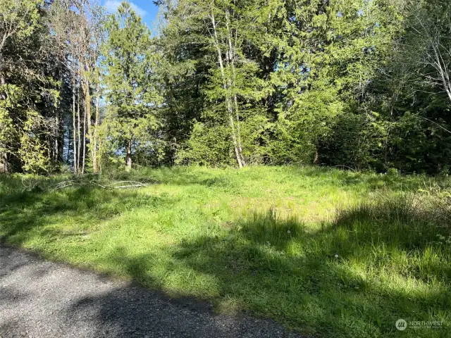 Half-way down to the beach is a cleared building site.  Septic outflow pipe is very near this site, making connection to your home a breeze.  Open up the view and it's really nice.