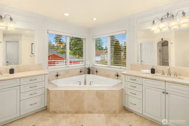 Luxurious primary spa-like bathroom and adjoining spacious walk-in closets.