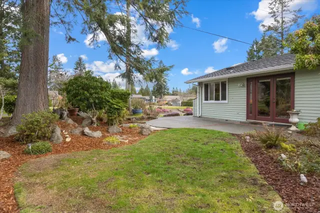 Green Space in Back Yard