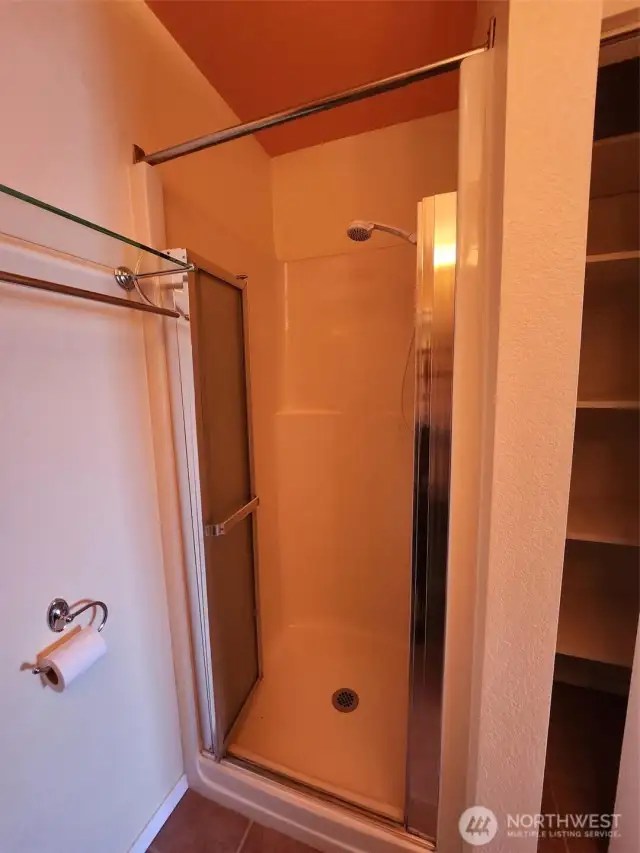 Primary bath shower