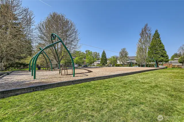 Just one of the outstanding parks and play areas in Redmond Ridge.