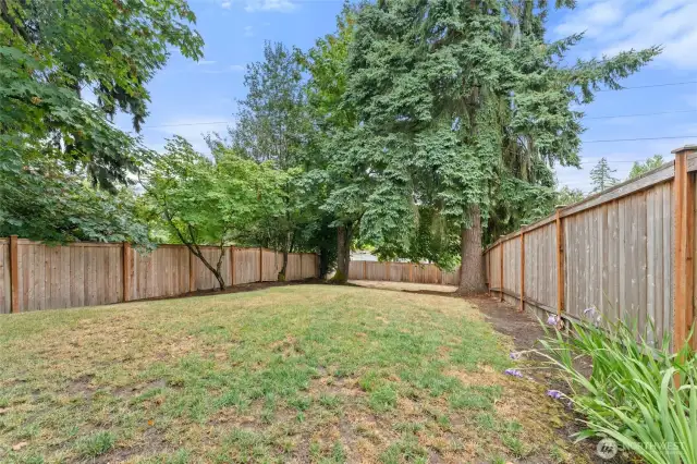 Large private fully fenced backyard