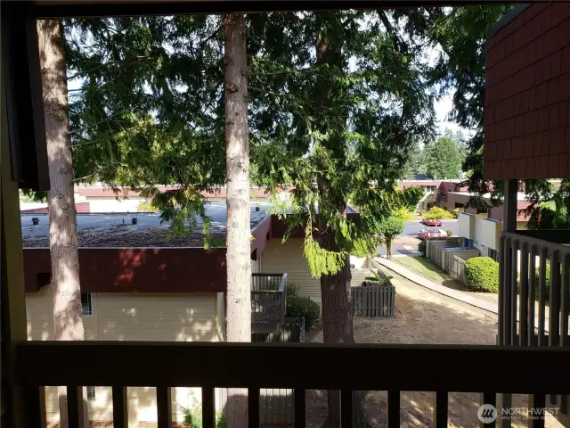 Deck overlook