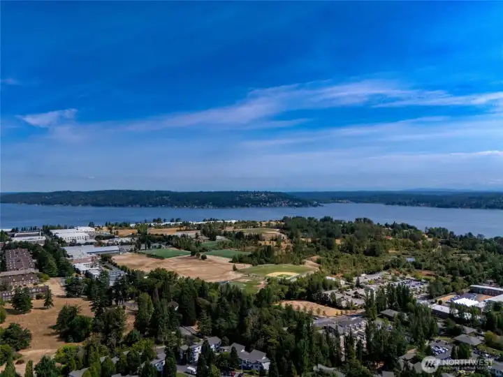 Magnuson Park and Lake Washington are just across Sand Point Way.  There's a dog park, hiking trails and beach activities.