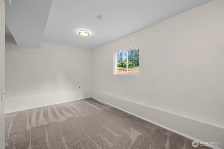 Bonus/Flex Room w/Closet on Lower Level Bonus/Flex Room w/Closet on Lower Level