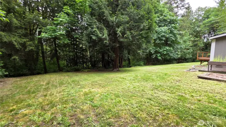 Huge park-like back yard border by woods for privacy