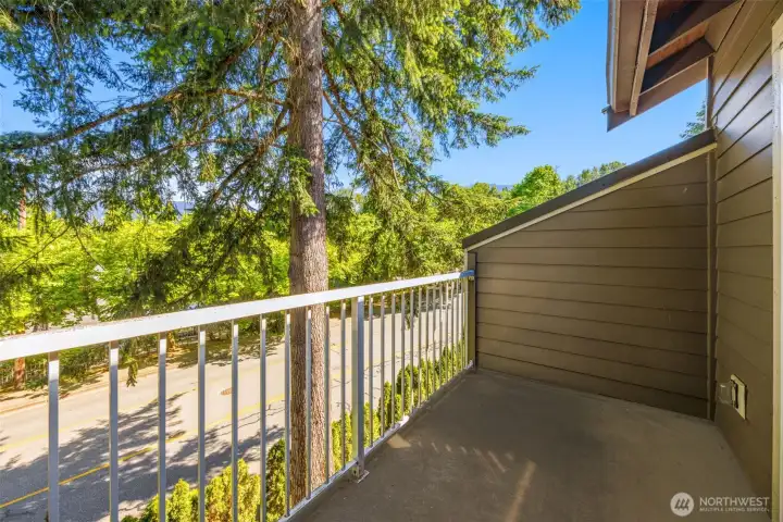 Enjoy views of Tiger Mountain from your own private deck.