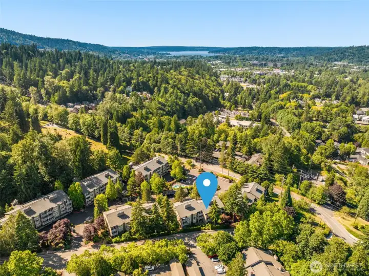 Set among mature trees, Ridgebrook offers a setting that feels tucked away while remaining close to everything Issaquah has to offer.