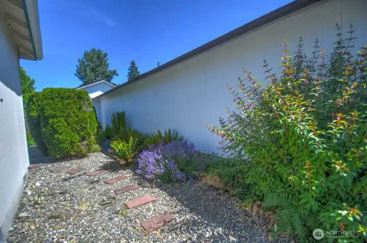 Side yard