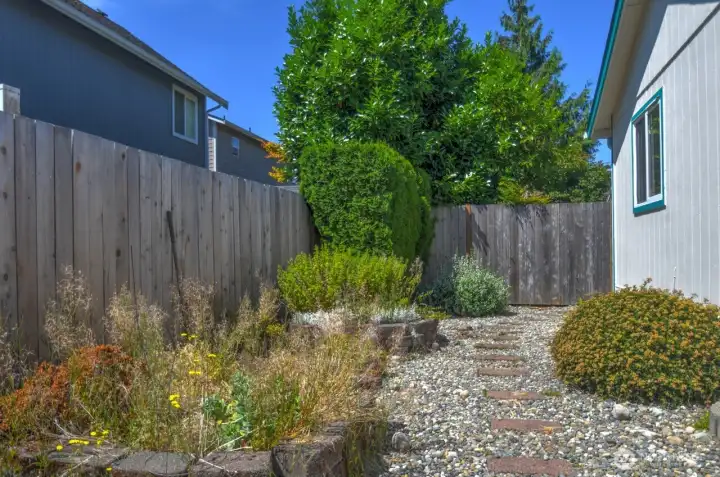Back yard