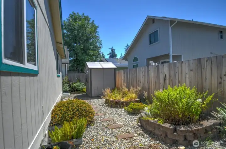 back yard