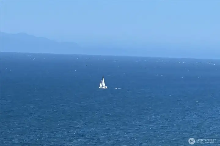 Sunny sailing Sunny sailing