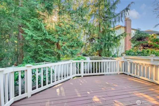 Additional deck off the Dining room